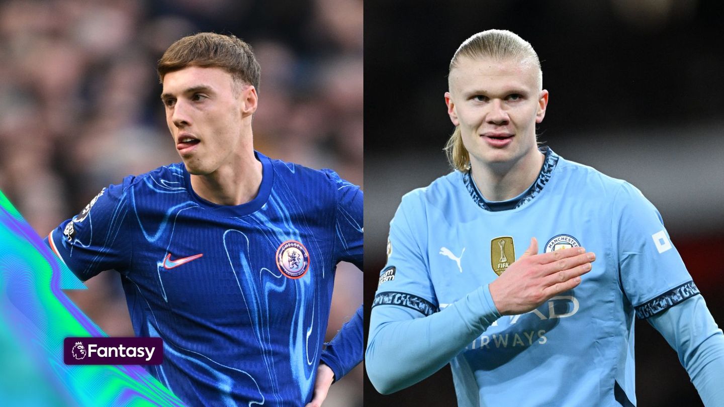 Palmer v Haaland FPL