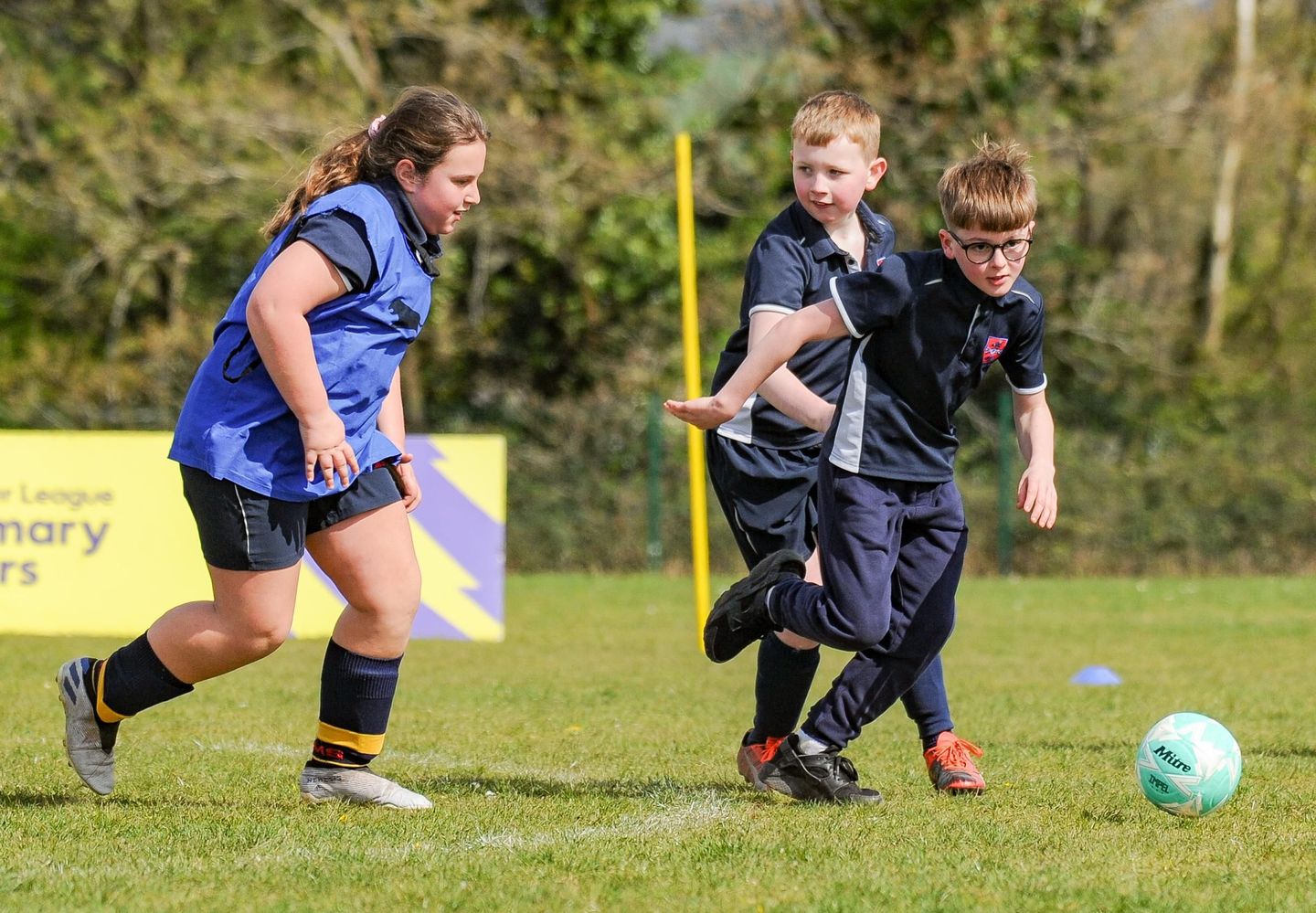 English Schools Football Association, Premier League Primary Stars