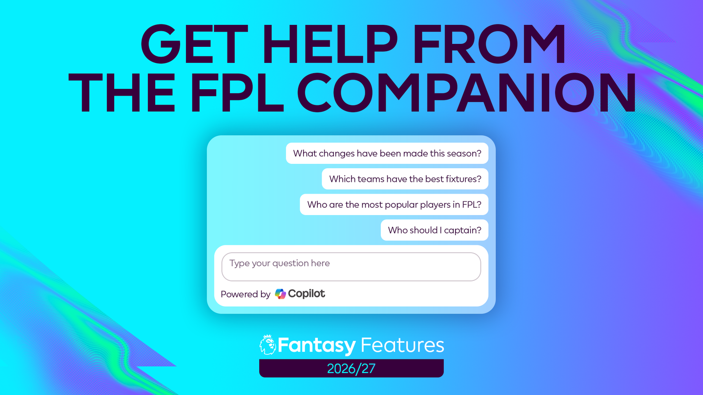 Graphic showing questions that can be asked to FPL Companion