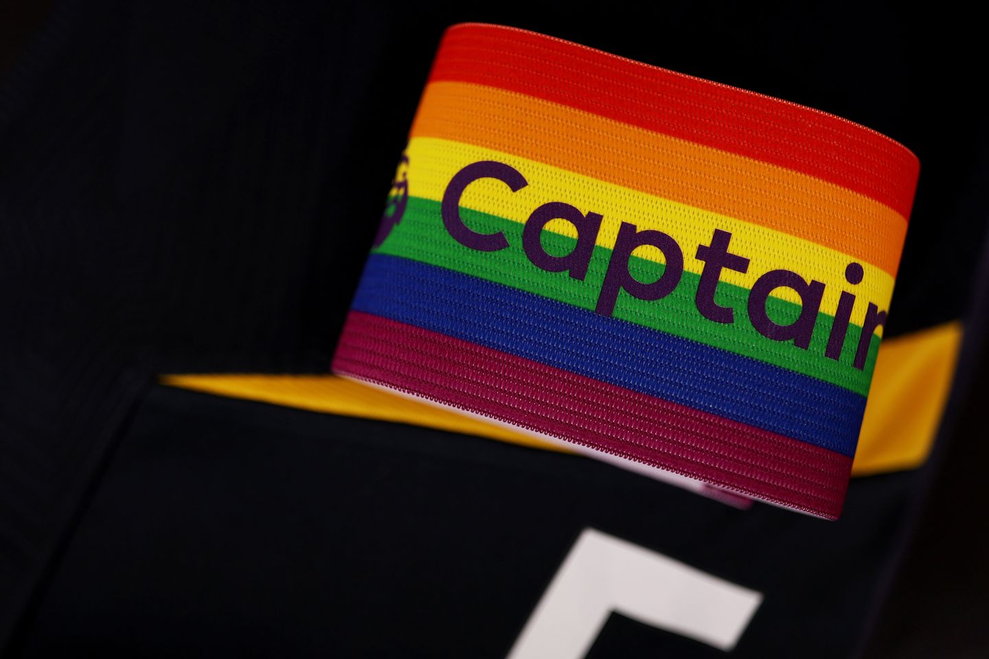 Mario Lemina, Wolves