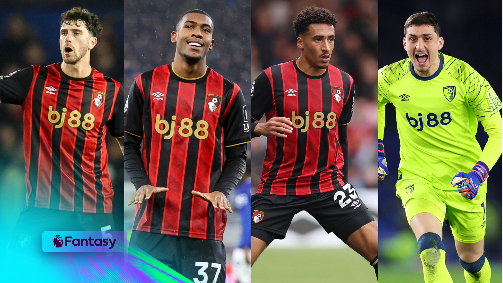 Discover the Hidden Gems of AFC Bournemouth in Fantasy Premier League!